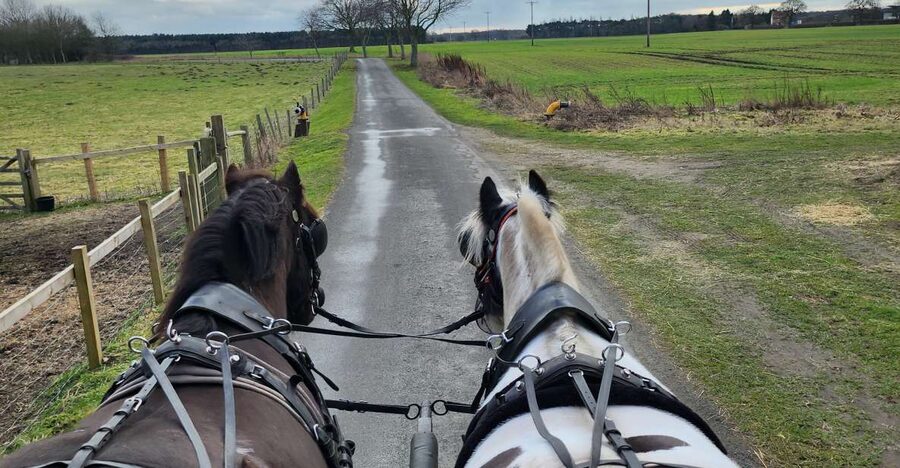 York: Horse Drawn Carriage ride & Cream Tea - Starting at Unit 3 in Skipwith