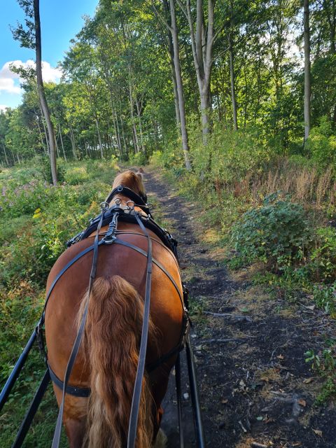York: Private Horse-Drawn Carriage Ride and Afternoon Tea - Leaving York behind at Skipwith