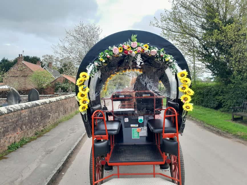 York: Private Horse-Drawn Carriage Ride and Afternoon Tea - Who will enjoy this most